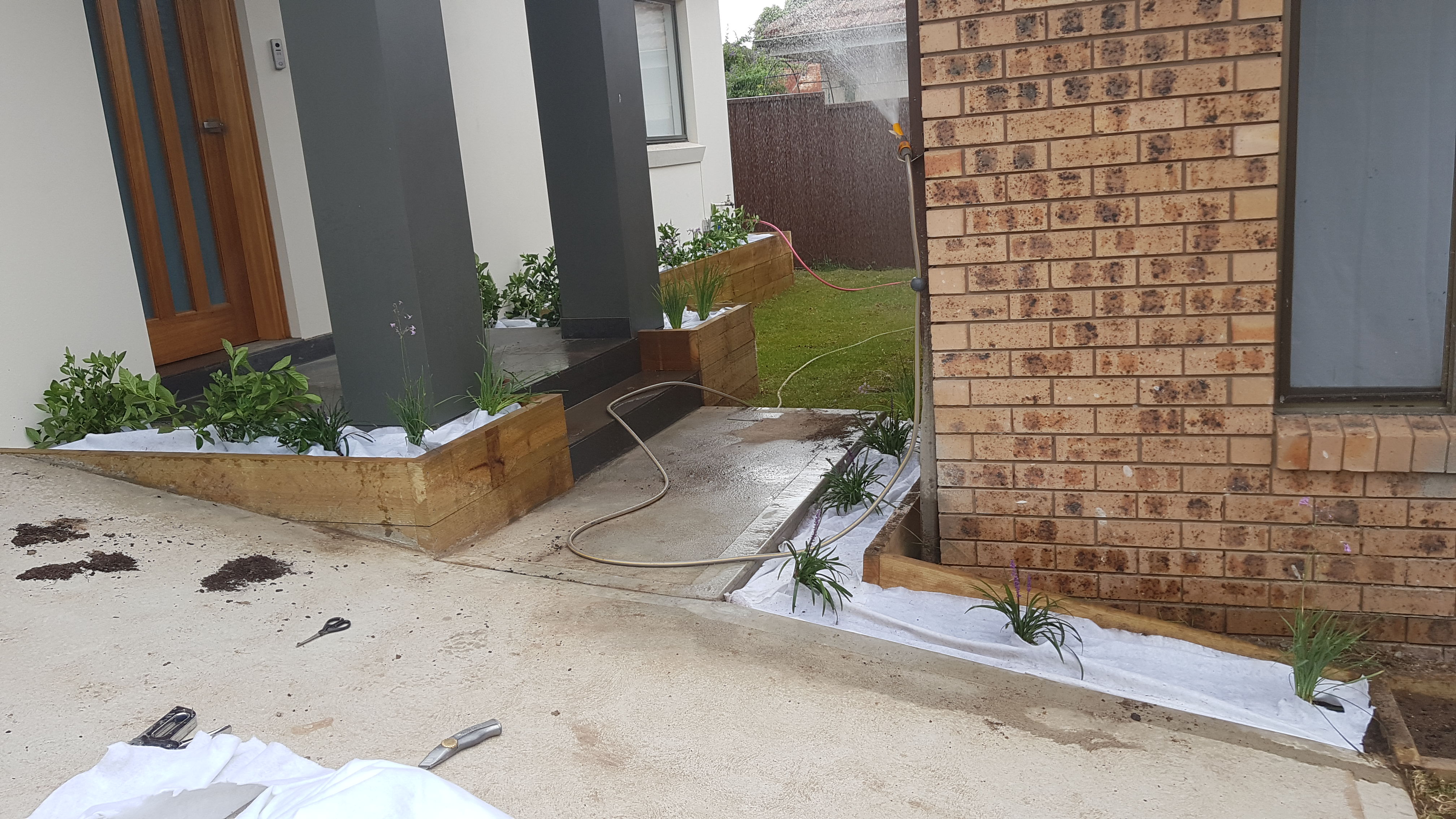 Timber planter boxes at home entry with new shrubs and grasses